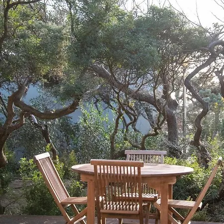 Mariva Dune Hotel 5*