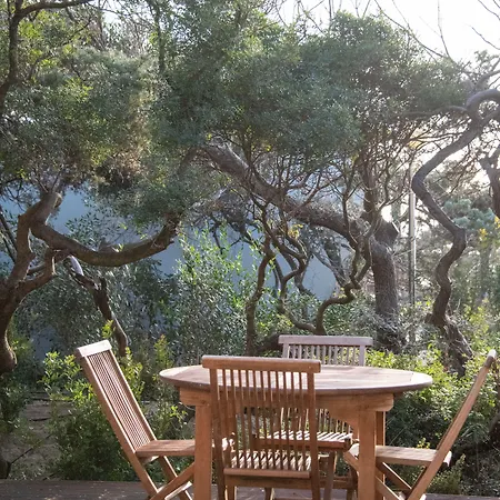 Mariva Dune Ξενοδοχείο